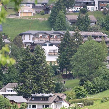 Todnauerberg Hotel Im Schwarzwald Todtnauberg Dış mekan fotoğraf