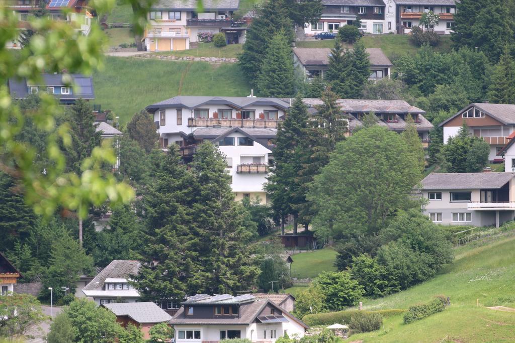 Todnauerberg Hotel Im Schwarzwald Todtnauberg Dış mekan fotoğraf
