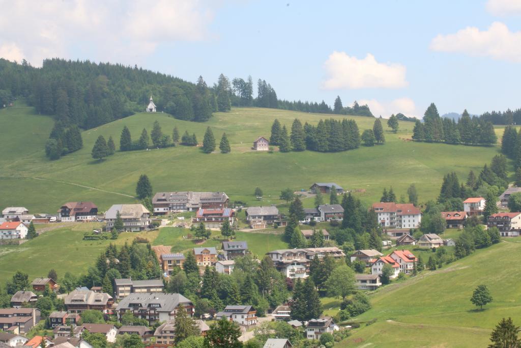 Todnauerberg Hotel Im Schwarzwald Todtnauberg Dış mekan fotoğraf