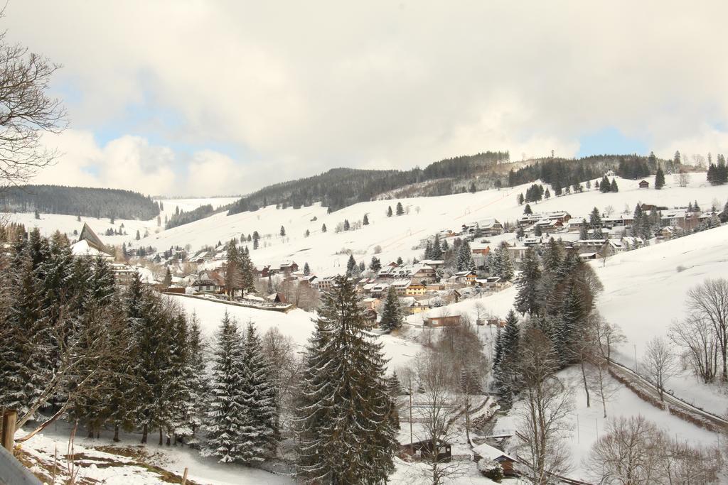 Todnauerberg Hotel Im Schwarzwald Todtnauberg Dış mekan fotoğraf