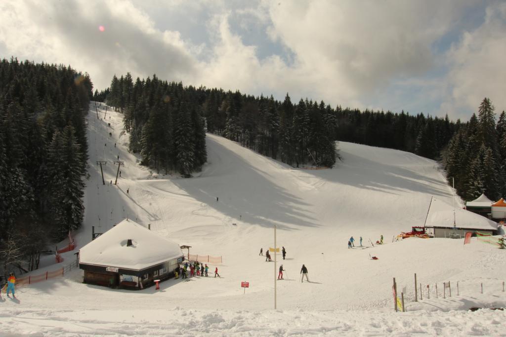 Todnauerberg Hotel Im Schwarzwald Todtnauberg Dış mekan fotoğraf