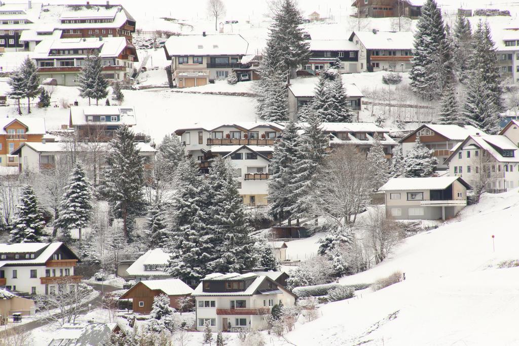 Todnauerberg Hotel Im Schwarzwald Todtnauberg Dış mekan fotoğraf
