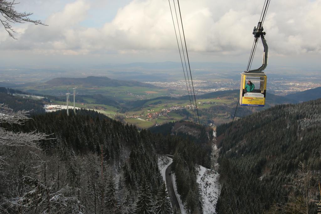 Todnauerberg Hotel Im Schwarzwald Todtnauberg Dış mekan fotoğraf