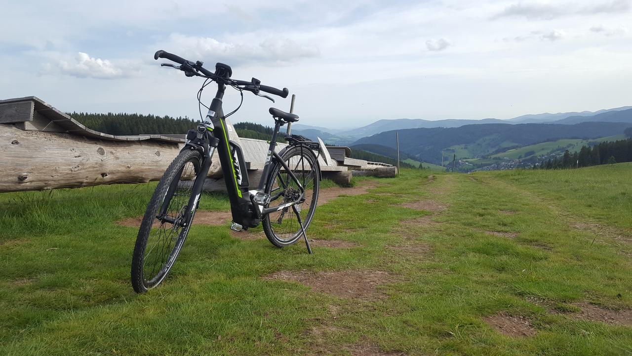 Todnauerberg Hotel Im Schwarzwald Todtnauberg Dış mekan fotoğraf